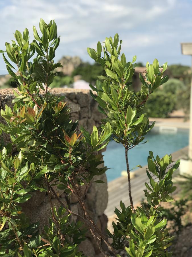 Hotel Les Chambres De Mila Bonifacio โบนิฟาซิโอ ภายนอก รูปภาพ